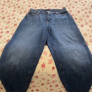 Banana Republic Barrel Jeans / Size 27/4